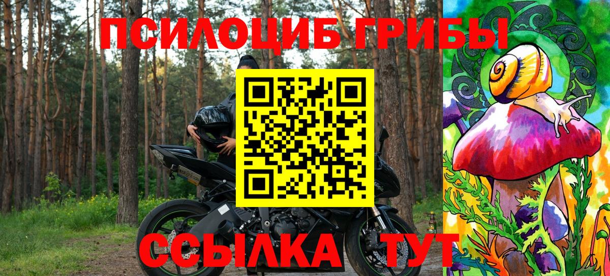 Рязань  Псилоцибиновые грибы ЛСД  Вход с VPN 